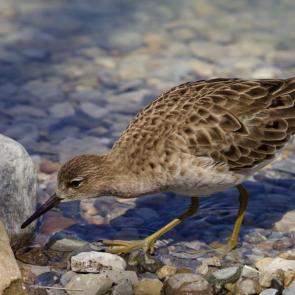 ����: �� �����