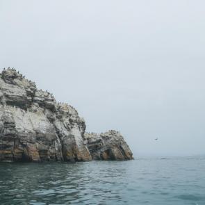 ���� ��������: �������� ����