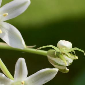 ����: ��������