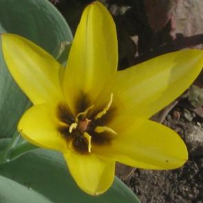 ����: ������ �������