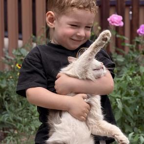 ����: ��������� ������ 