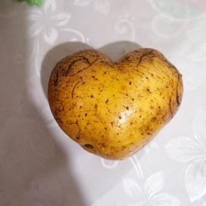 ����: ��� ������ )