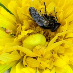 ����: ���� ������ ������