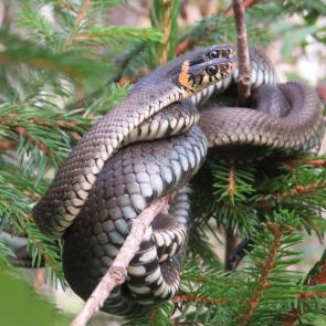 ����: ��� ������ ����� � ����� ������� ���� 