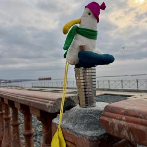 ����: ��������������