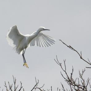 ����: ����� �����