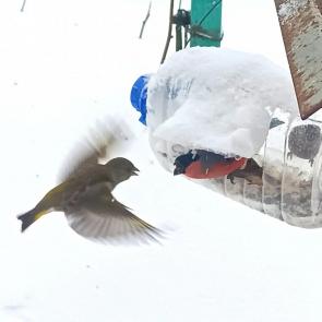 ���� ��������: ���� � ��������