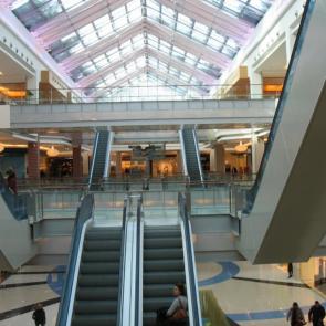 ����: ����������� �����������