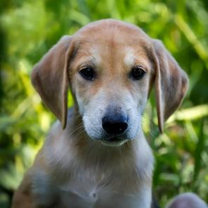 ����: ����� ������