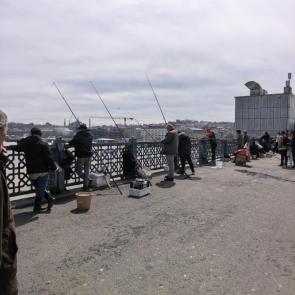 ���� ��������: ������ �����