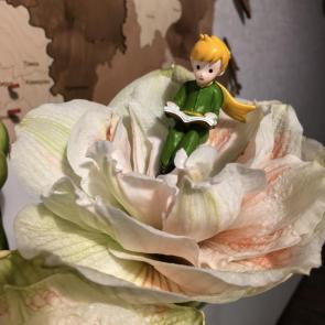 ���� ��������: ��������� �����