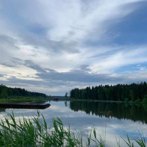 ����: ������ ��������