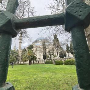 ����: ������ ���������