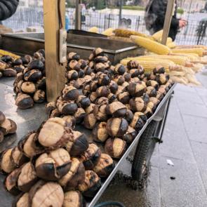 ����: �������