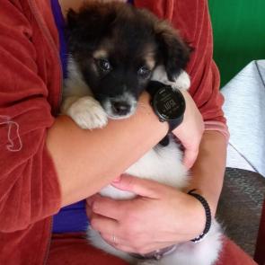 ����: �����