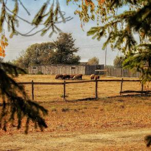 ����: � ������� 