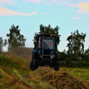 ����: ����...�������...������� 