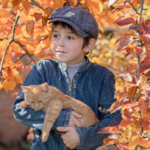 ���� ��������: ������ � �������