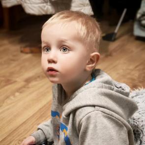 ����: ���������