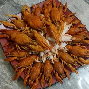 ����: �����