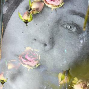 ���� ��������: 