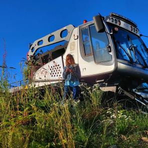 ����: ����