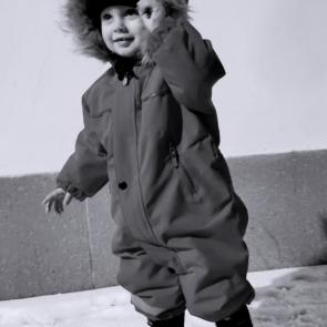 ���� ��������: �������