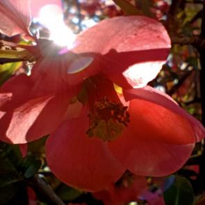 ����: ������ ������ � ����� ������