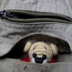 ����: ��������� ��������������.