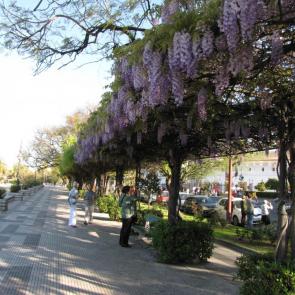 ���� ��������: ���������� � �������