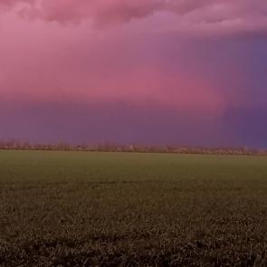 ����: ������� ������� ���� 