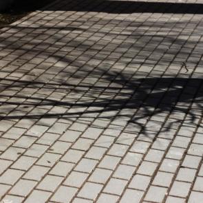 ����: ����