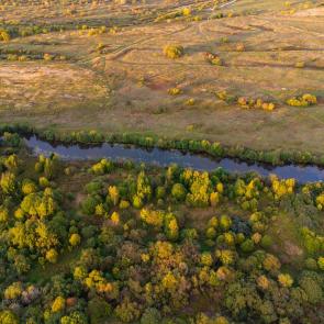 ���� ��������: ������� ������� � �������� �����