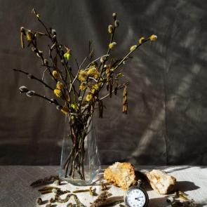 ���� ��������: 