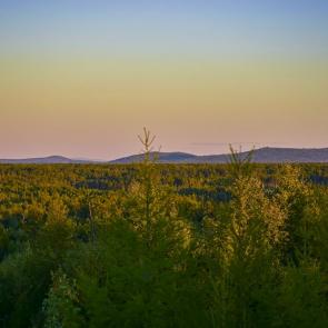 ���� ��������: ������� ����� ��� ���������� �����