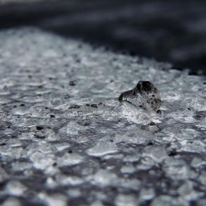 ���� ��������: 