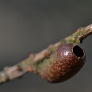 ����: ����� �������