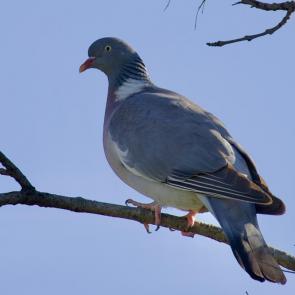 ����: ������