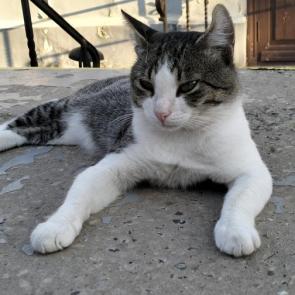 ����: ������ 