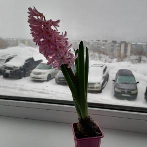 ���� ��������: ��������� �����