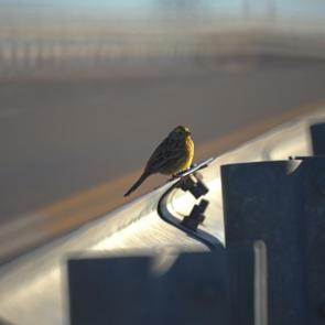 ����: ������� ������������