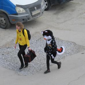 ���� ��������: ����