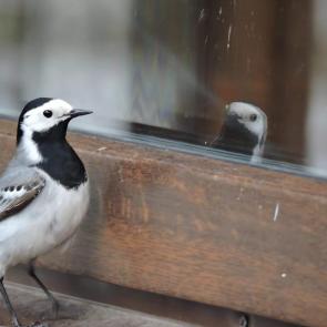 ����: �� ���?