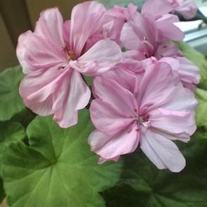 ����: ����� �� ����.