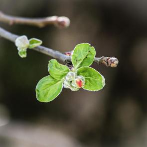 ���� ��������: 