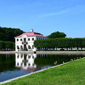 ����: ��������