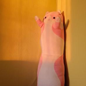 ����: ����� �����