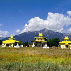 ���� ��������: �������