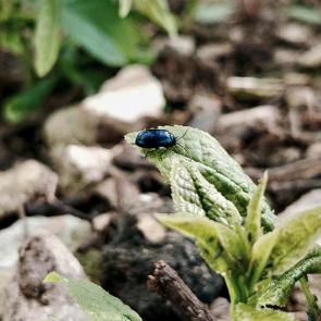 ����: ����� �� ������