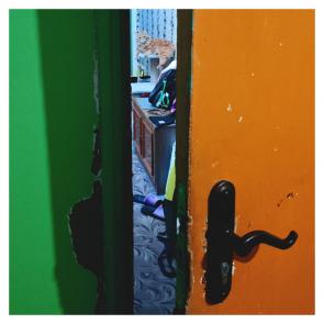 ����: ���, ������